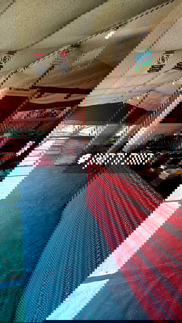 avital_1010.2003 image ~ Altpins