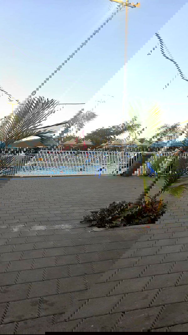 avital_1010.2003 image ~ Altpins