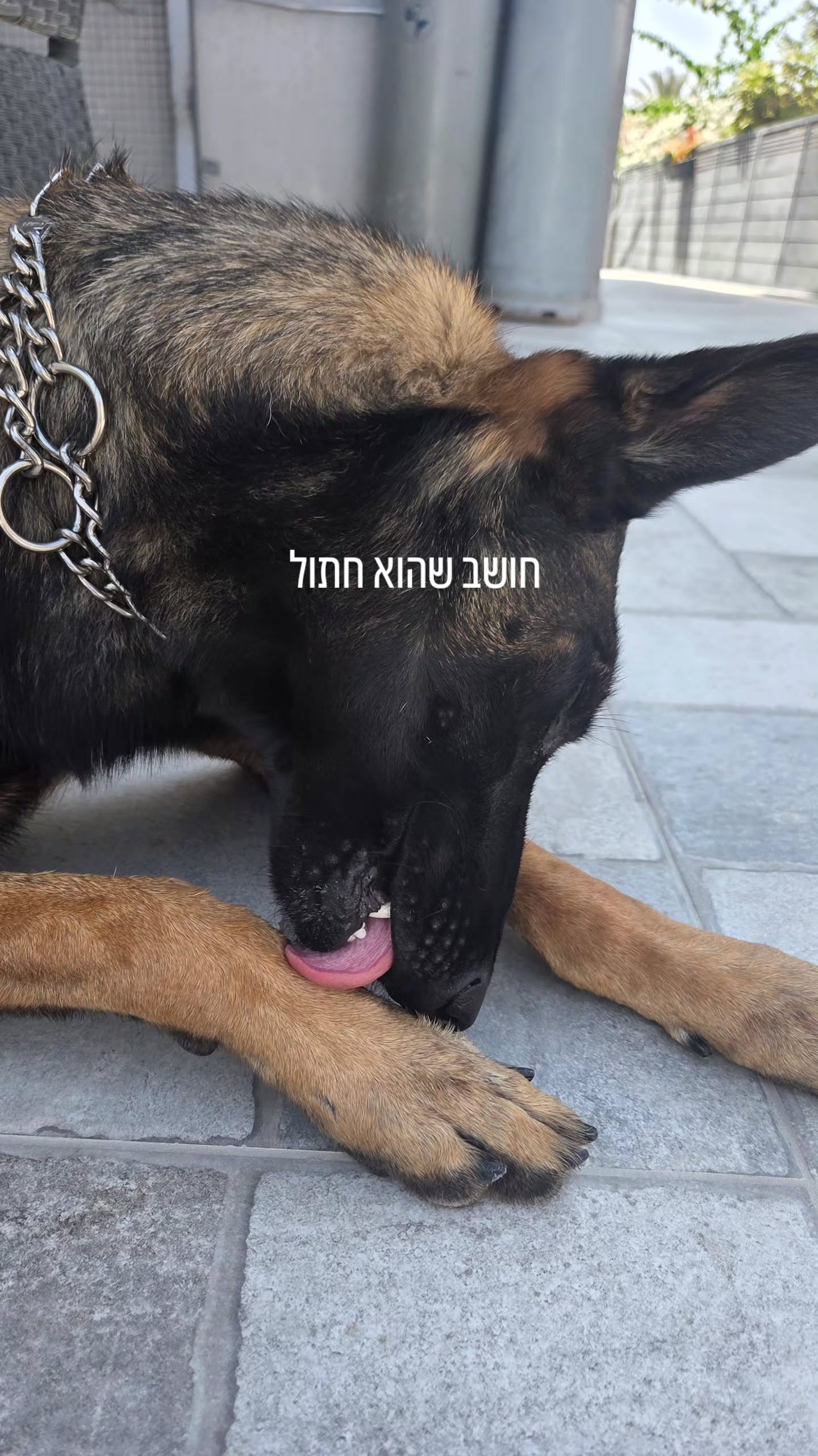 avital_1010.2003 instagram image archive image