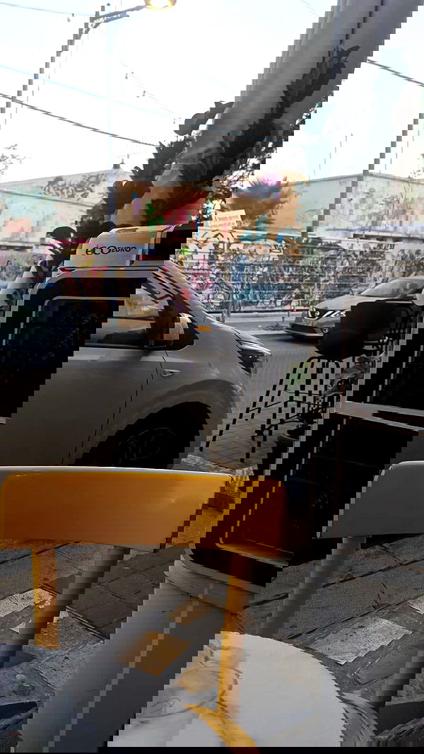 avital_1010.2003 image ~ Altpins