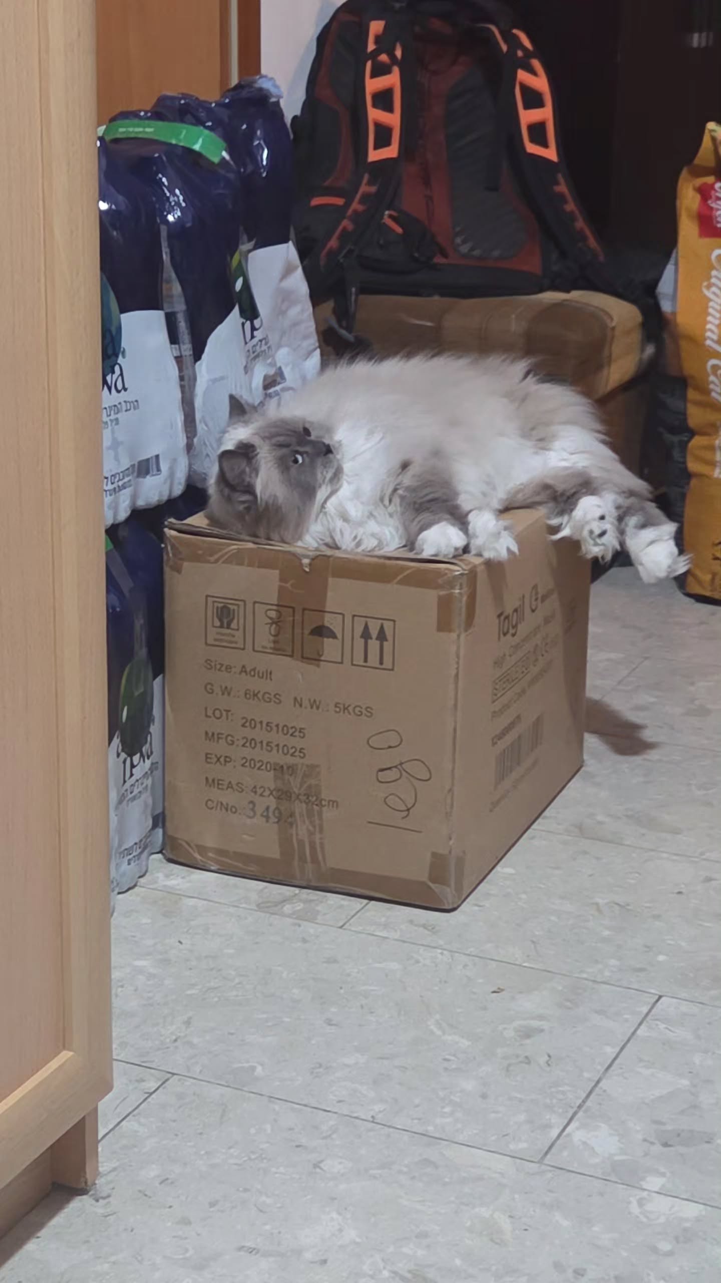 avital_1010.2003 instagram image archive image