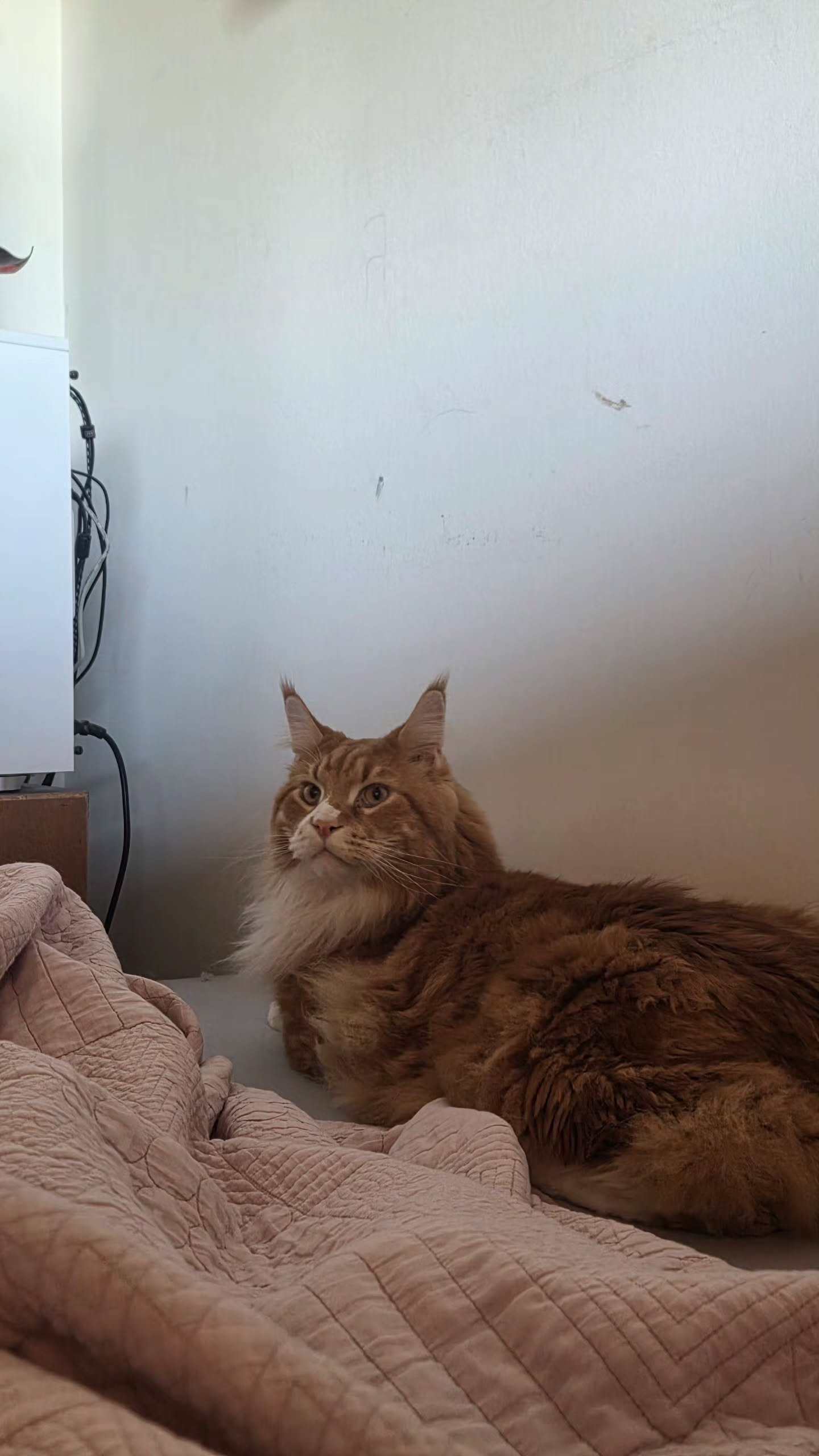 avital_1010.2003 instagram image archive image