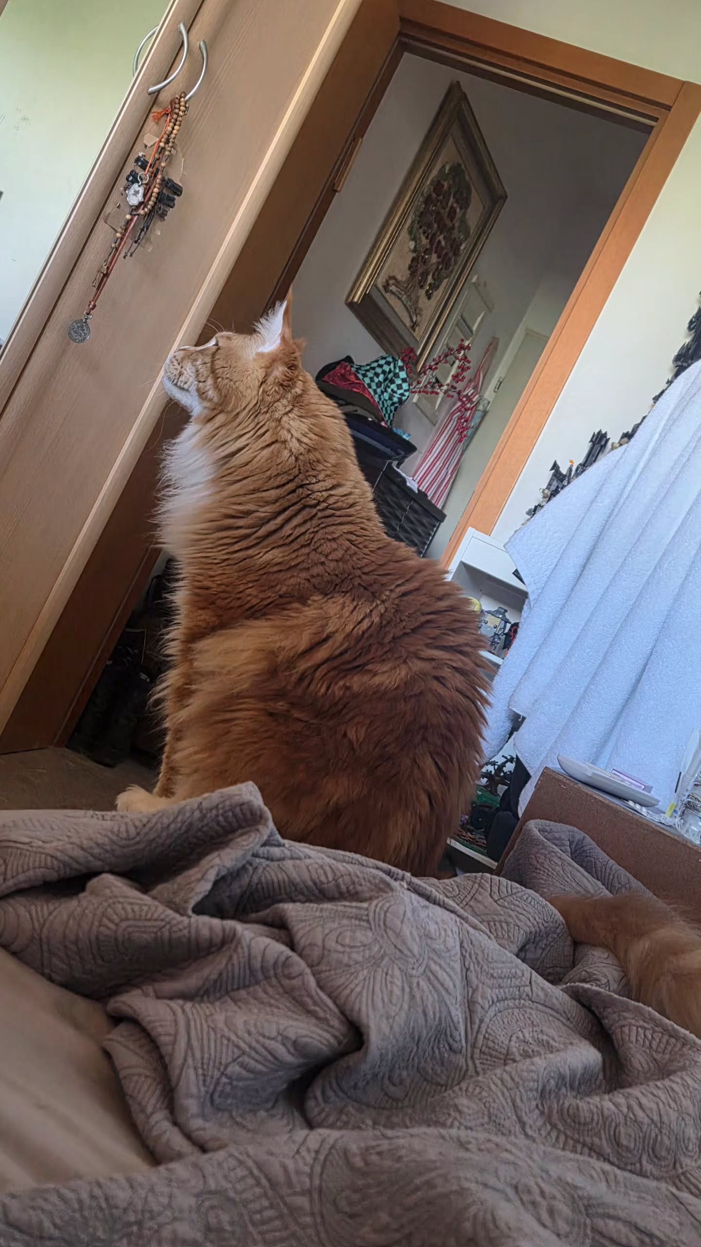 avital_1010.2003 instagram image archive image