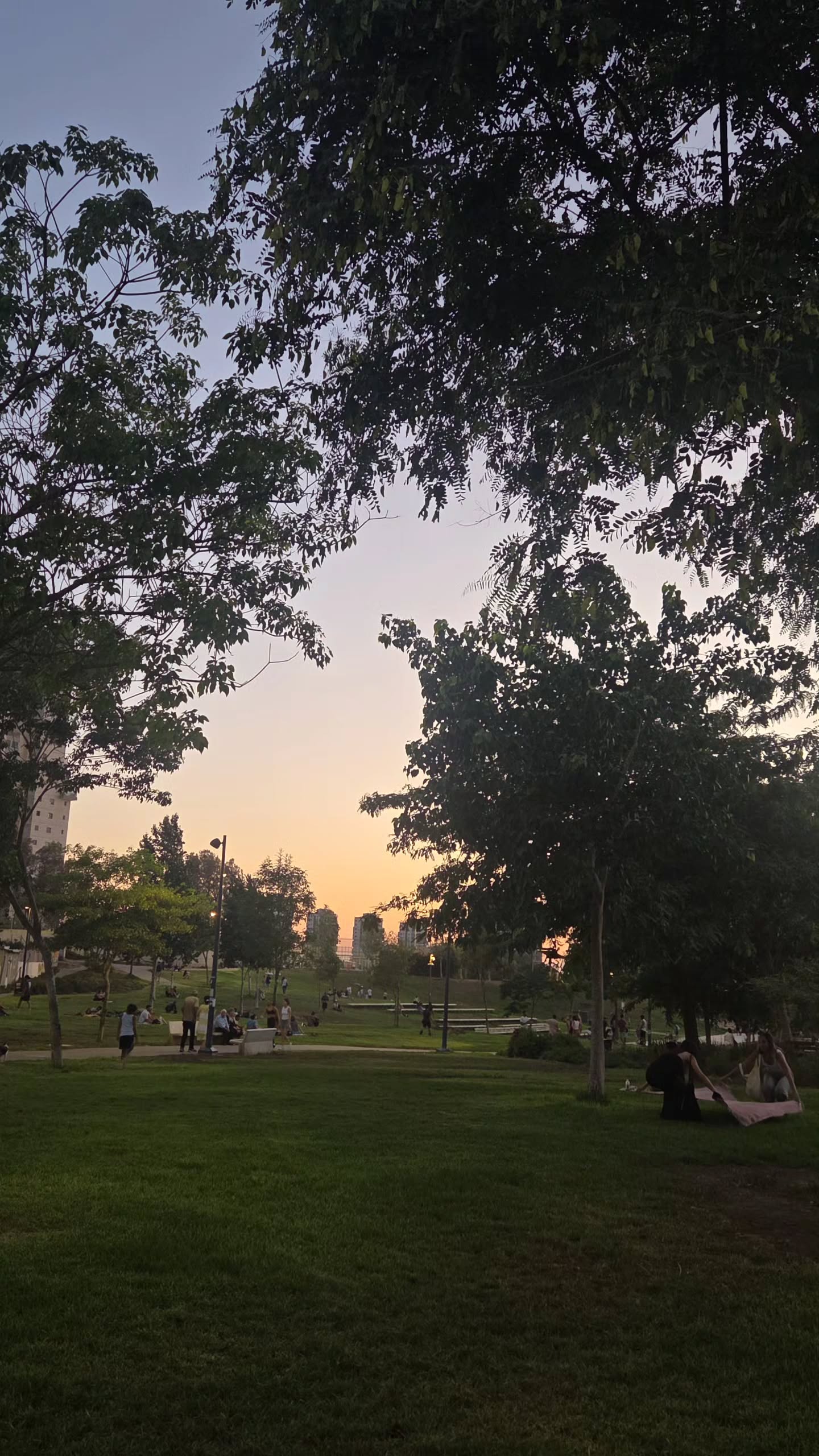 avital_1010.2003 instagram image archive image