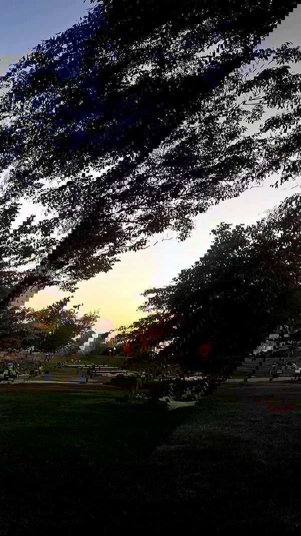 avital_1010.2003 image ~ Altpins