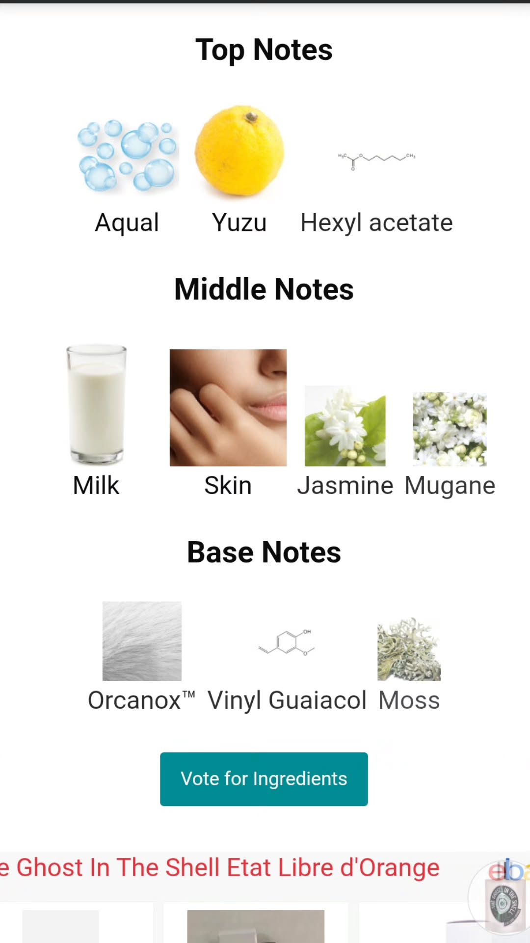 avital_1010.2003 instagram image archive image