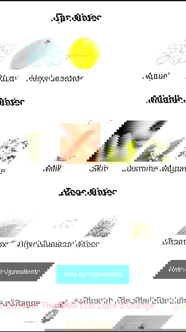 avital_1010.2003 image ~ Altpins