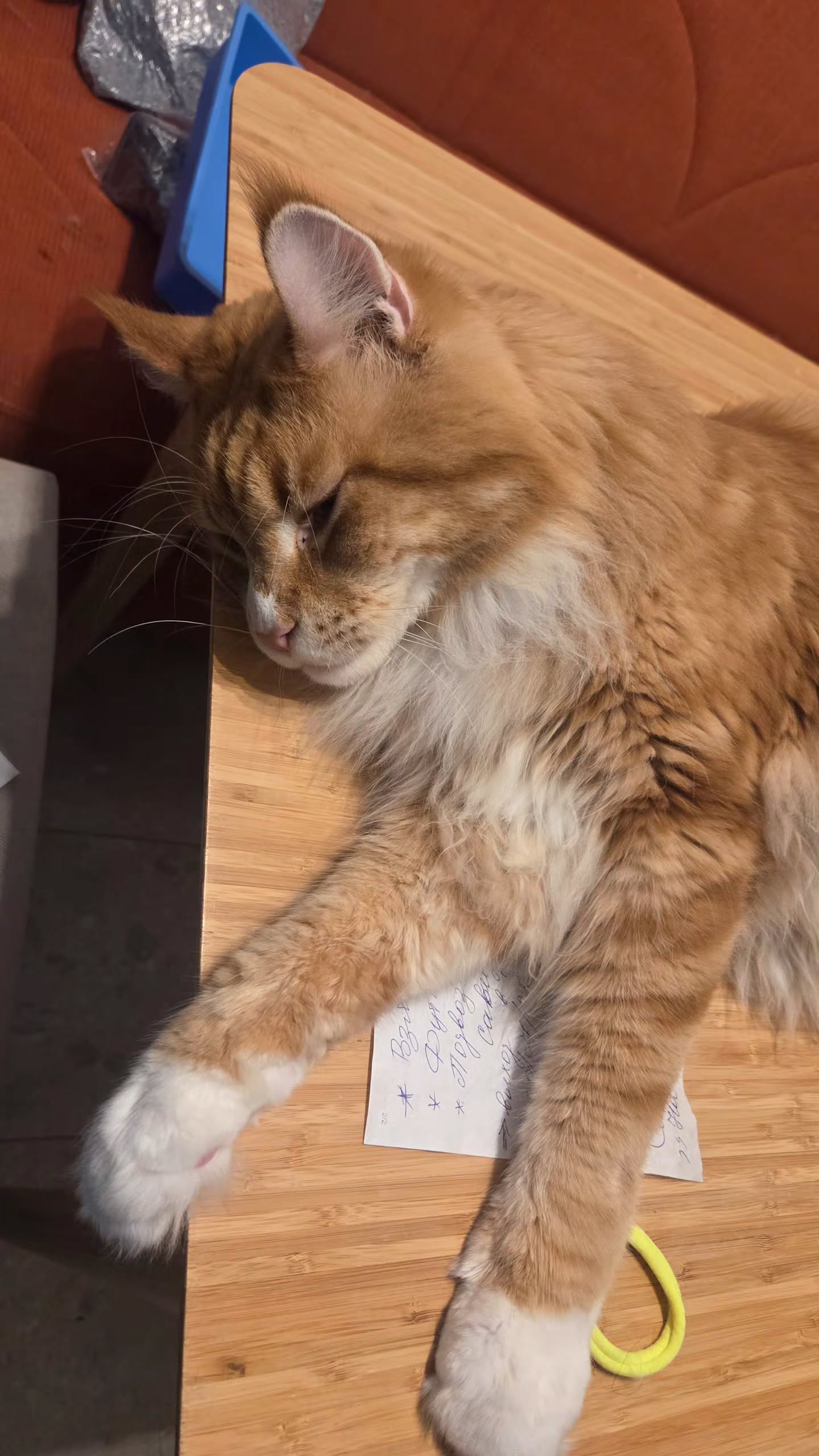 avital_1010.2003 instagram image archive image