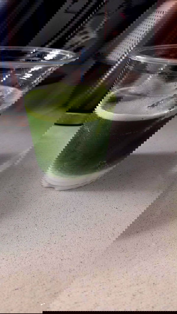 avital_1010.2003 image ~ Altpins