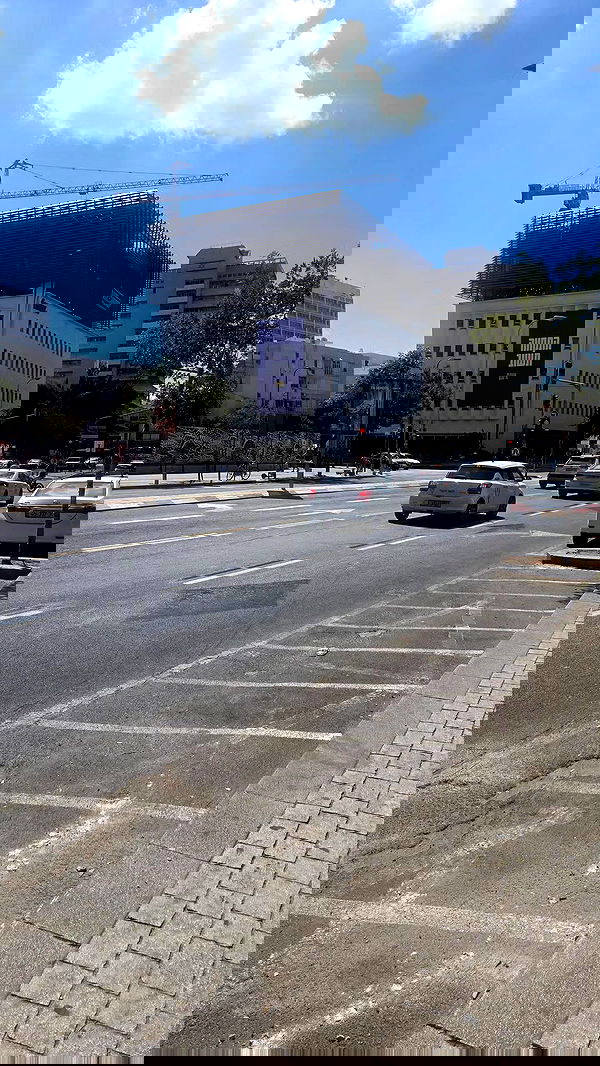 avital_1010.2003 image ~ Altpins