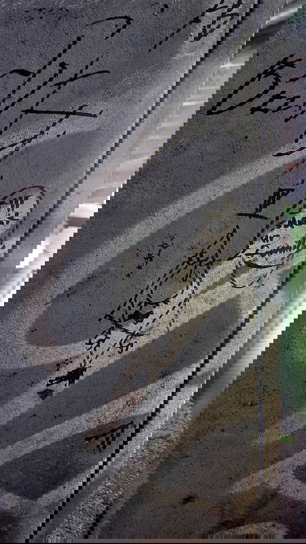 avital_1010.2003 image ~ Altpins