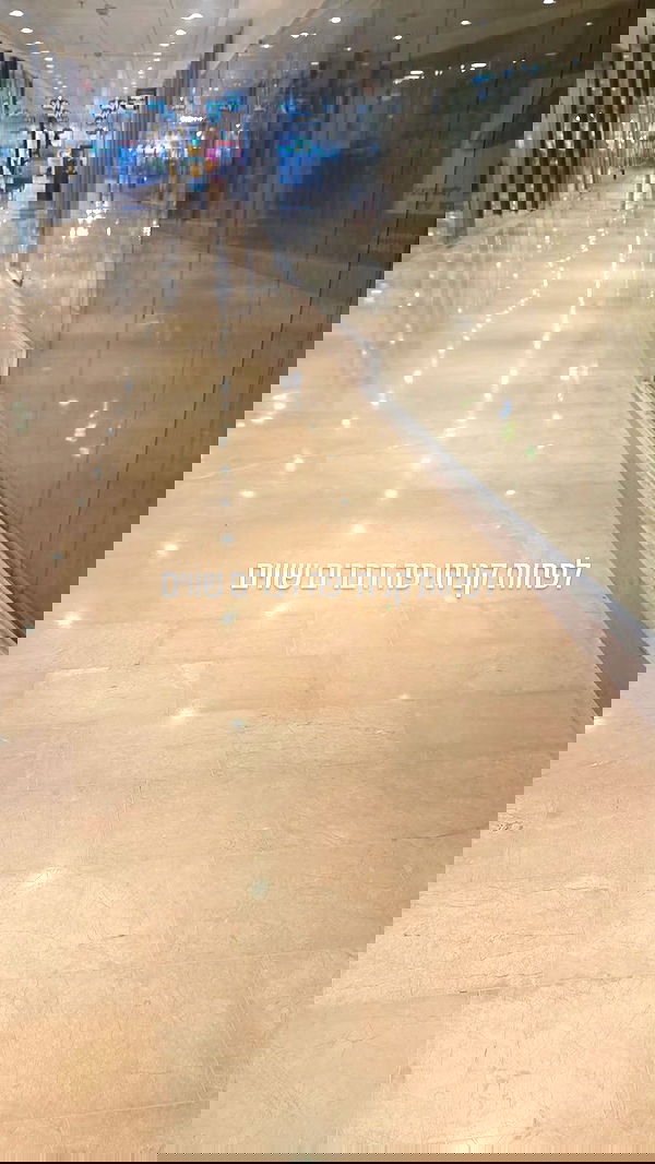 avital_1010.2003 image ~ Altpins