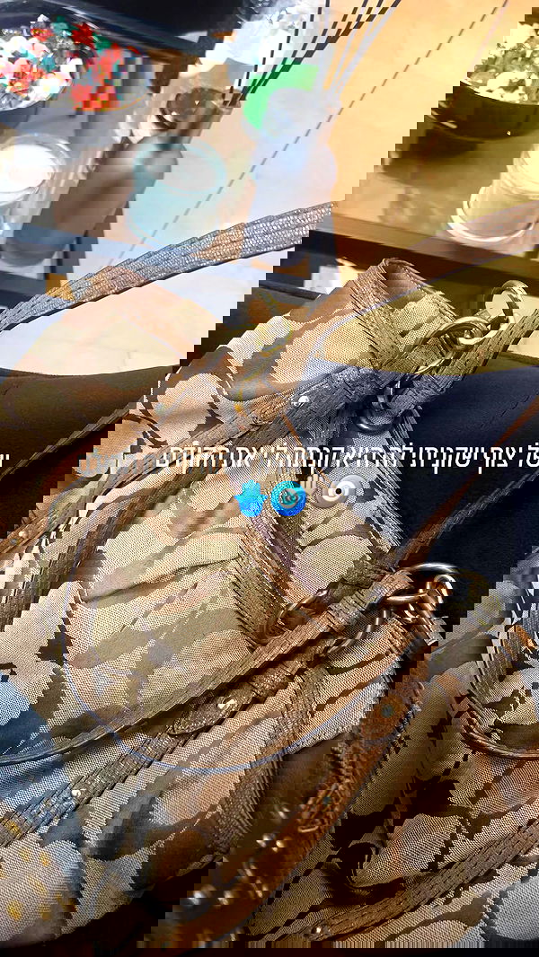 avital_1010.2003 image ~ Altpins