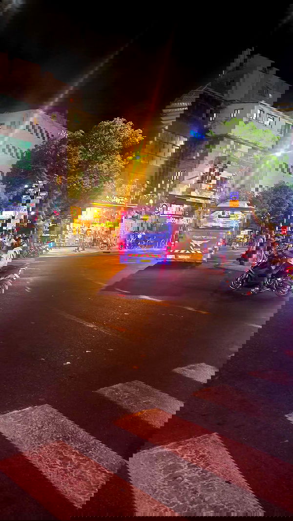 avital_1010.2003 image ~ Altpins