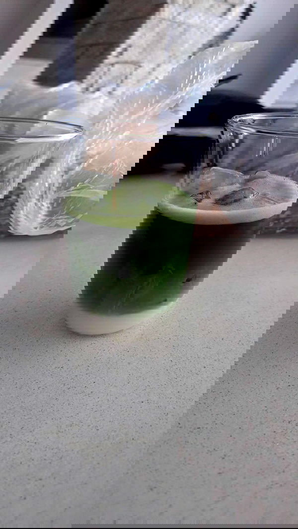 avital_1010.2003 image ~ Altpins