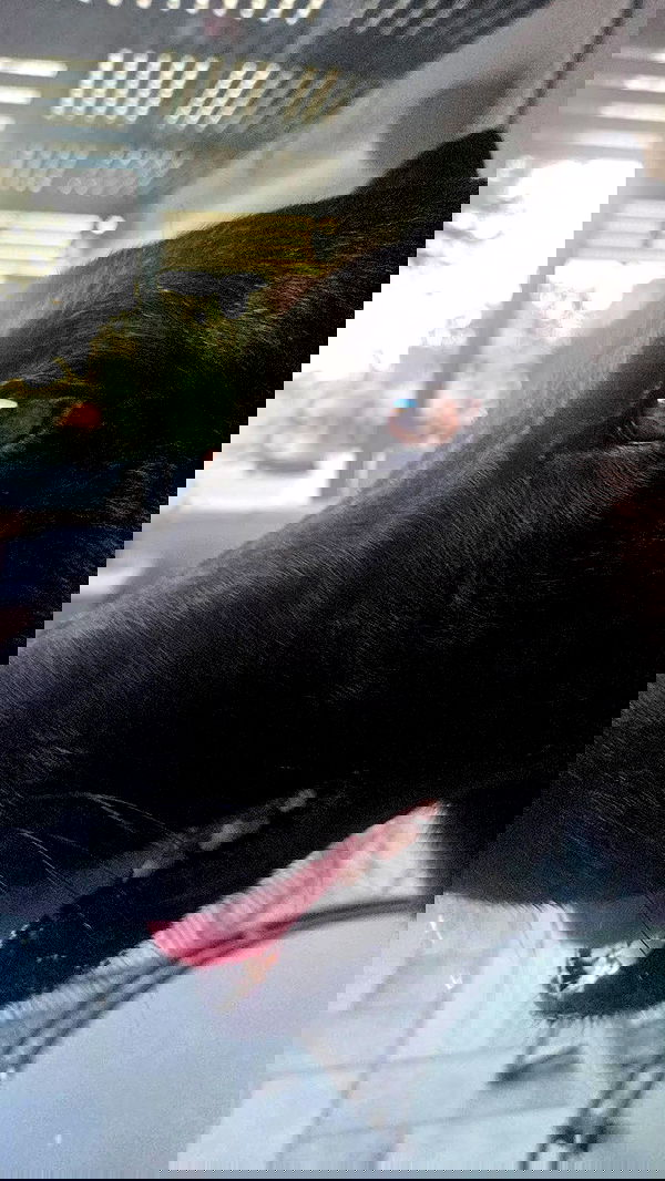 avital_1010.2003 image ~ Altpins