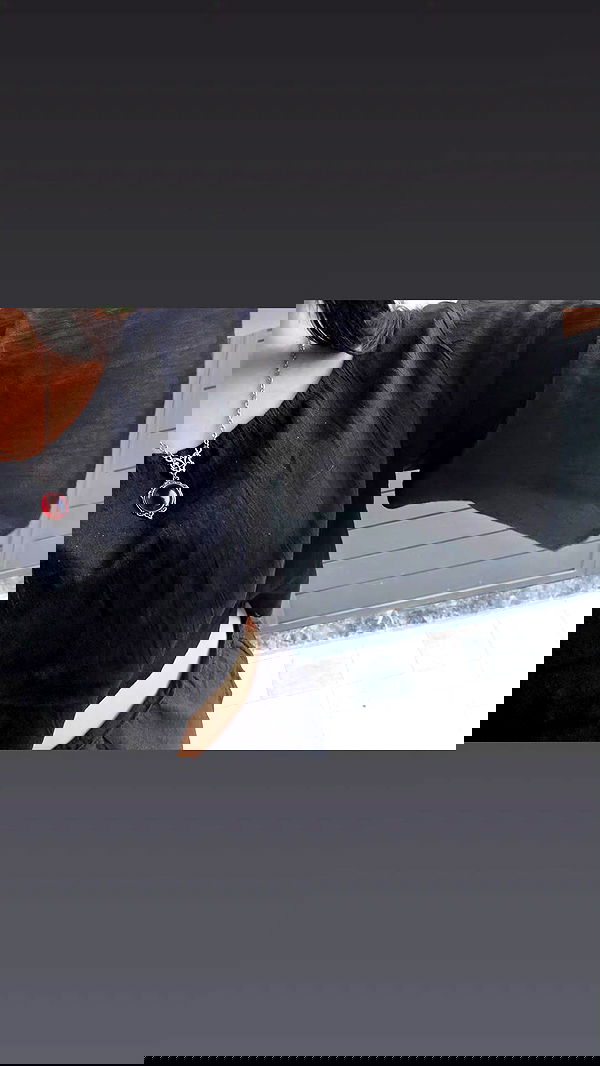 avital_1010.2003 image ~ Altpins