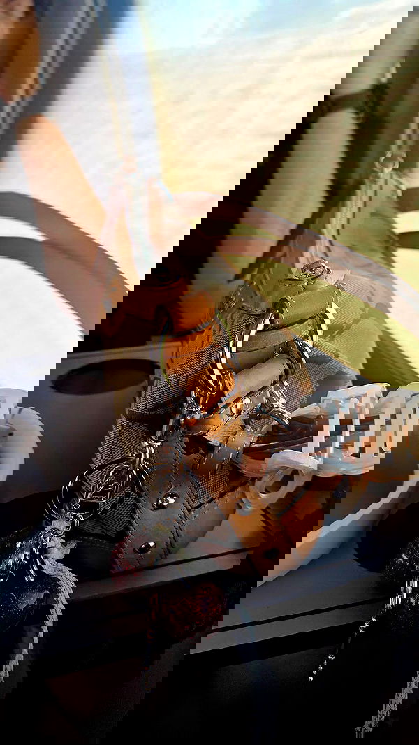 avital_1010.2003 image ~ Altpins