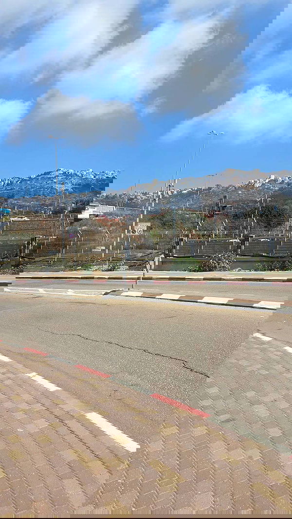 avital_1010.2003 image ~ Altpins