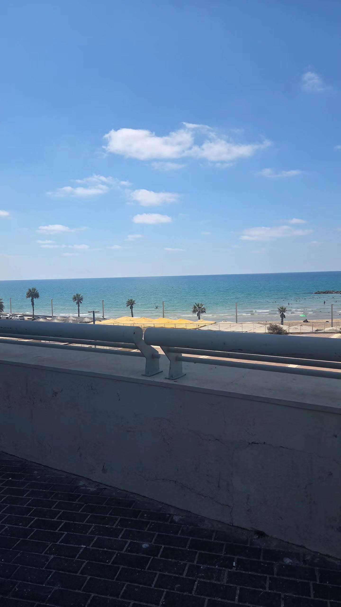 avital_1010.2003 instagram image archive image