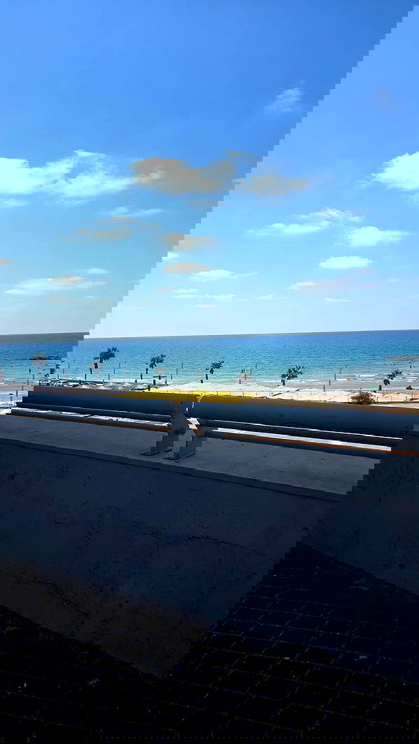 avital_1010.2003 image ~ Altpins