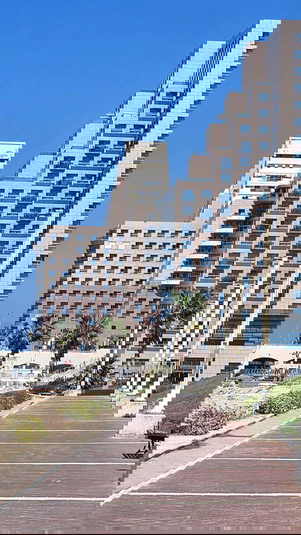 avital_1010.2003 image ~ Altpins