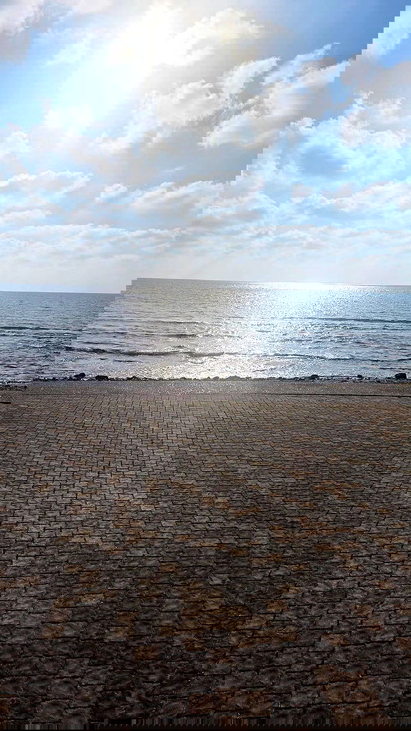 avital_1010.2003 image ~ Altpins