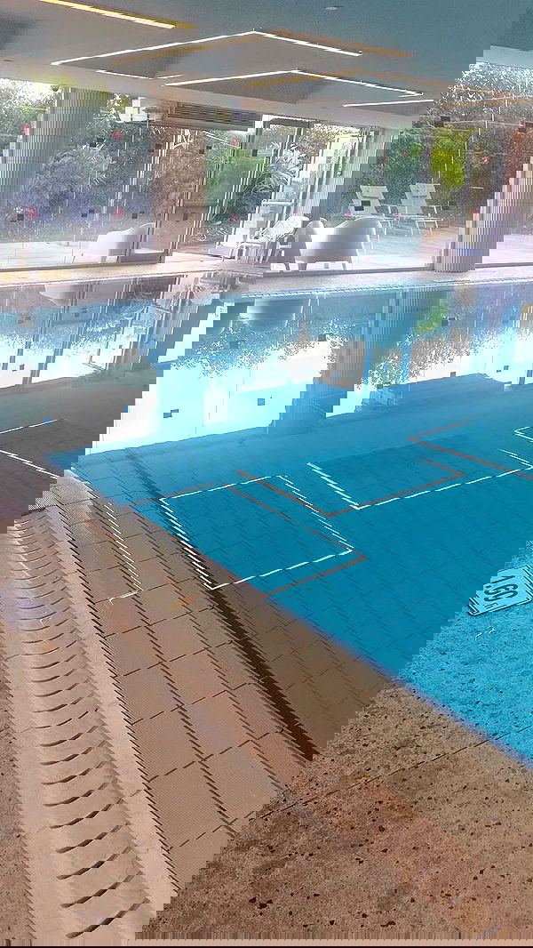 avital_1010.2003 image ~ Altpins