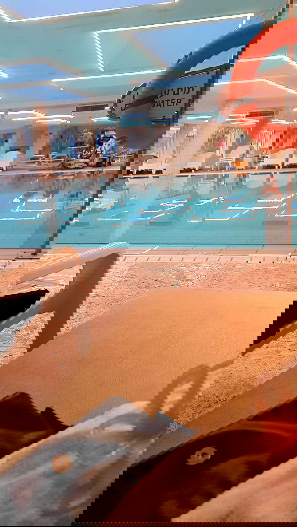 avital_1010.2003 image ~ Altpins