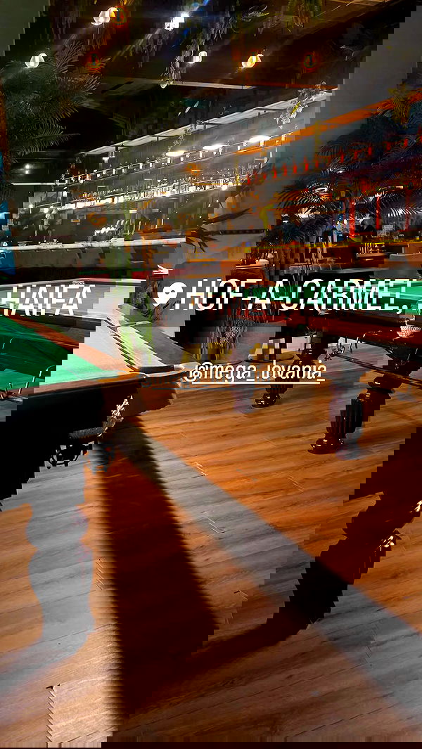 avital_1010.2003 image ~ Altpins