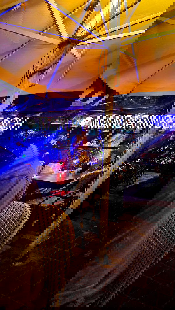 avital_1010.2003 image ~ Altpins