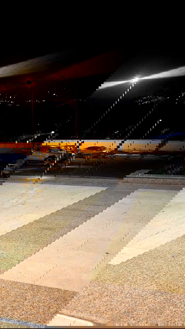 avital_1010.2003 image ~ Altpins