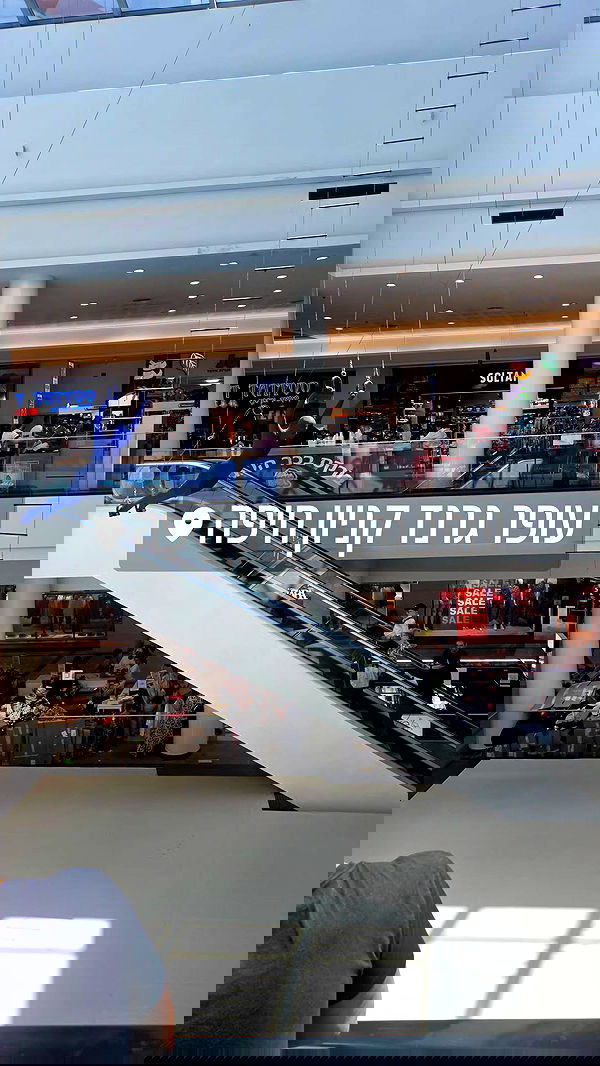 avital_1010.2003 image ~ Altpins