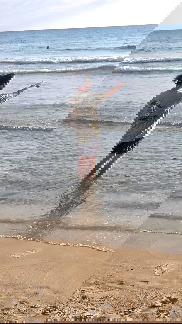 avital_1010.2003 image ~ Altpins