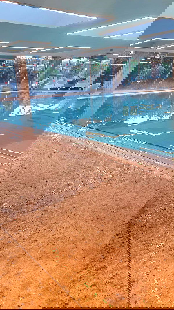 avital_1010.2003 image ~ Altpins