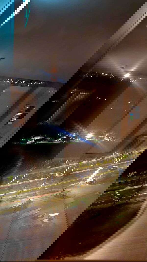 avital_1010.2003 image ~ Altpins