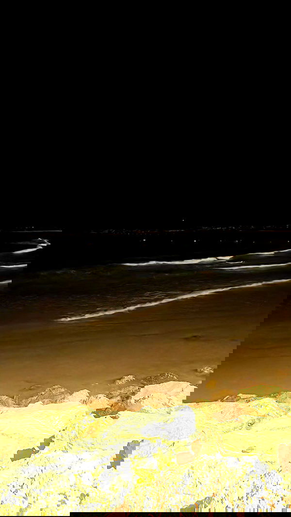 avital_1010.2003 image ~ Altpins