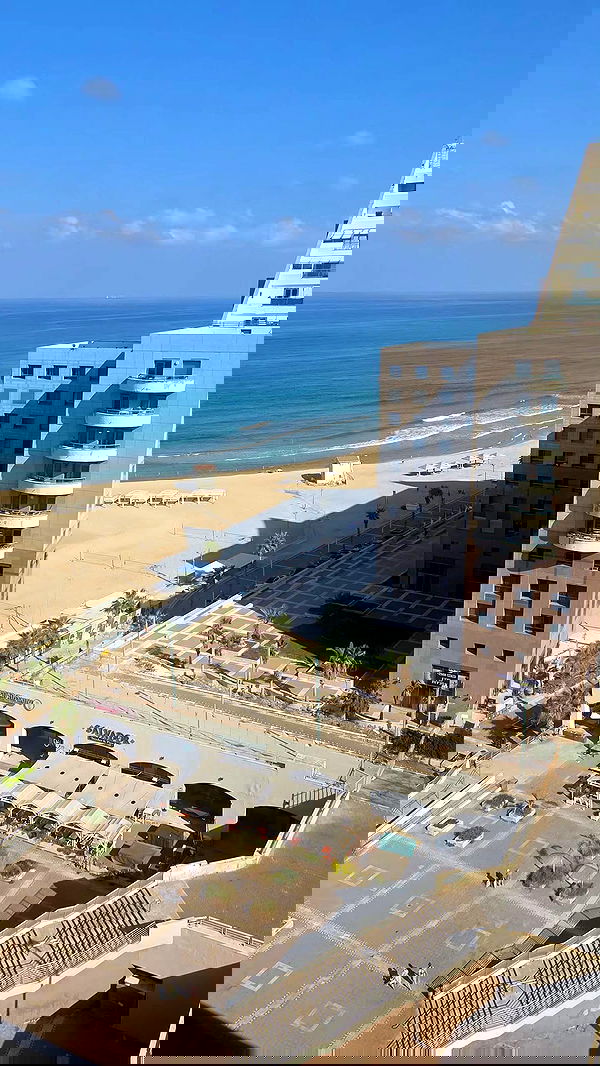 avital_1010.2003 image ~ Altpins