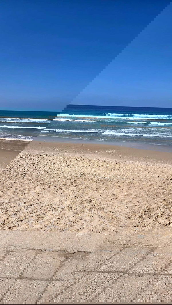 avital_1010.2003 image ~ Altpins