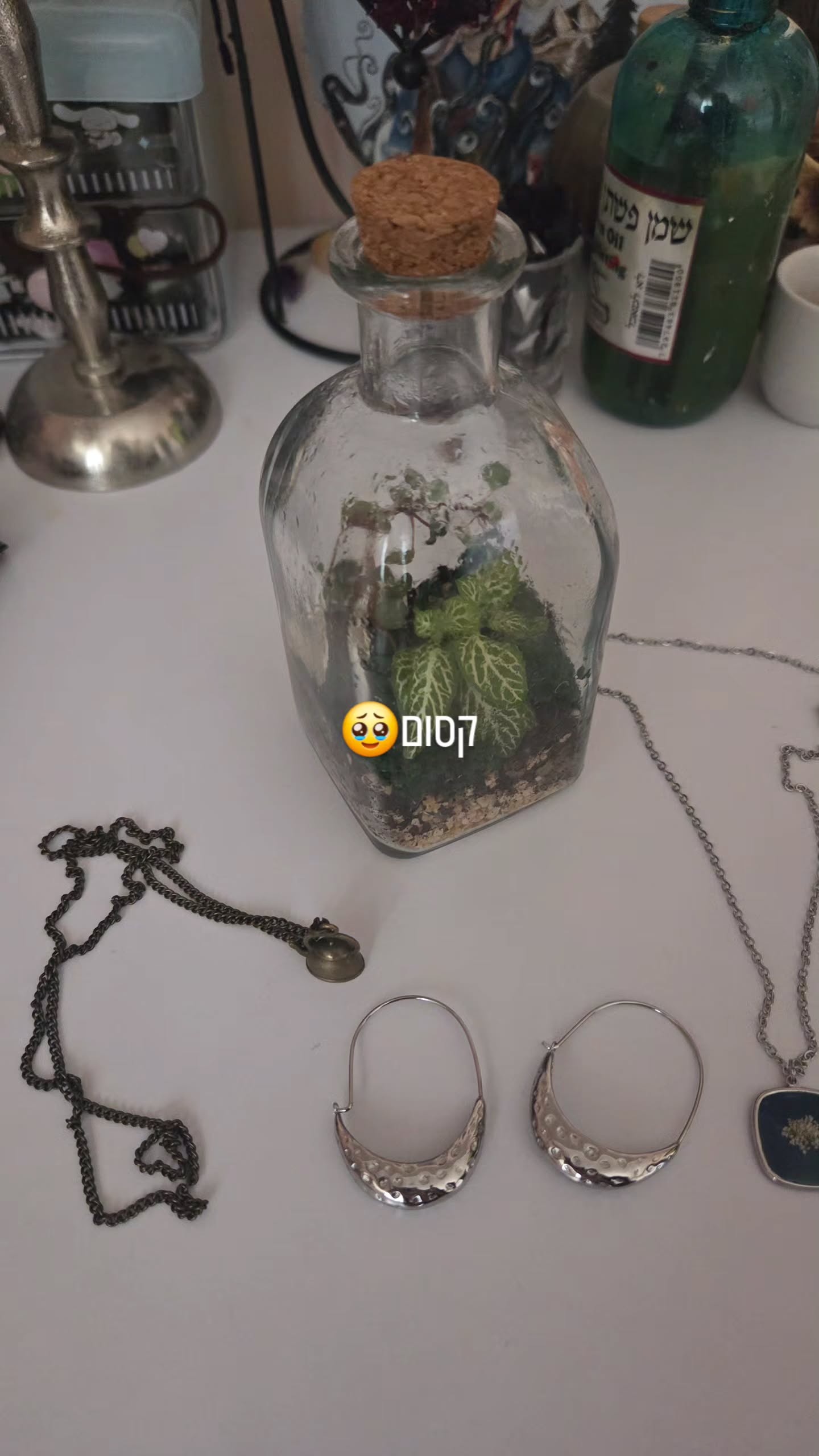 avital_1010.2003 instagram image archive image