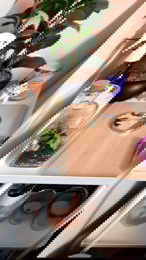 avital_1010.2003 image ~ Altpins