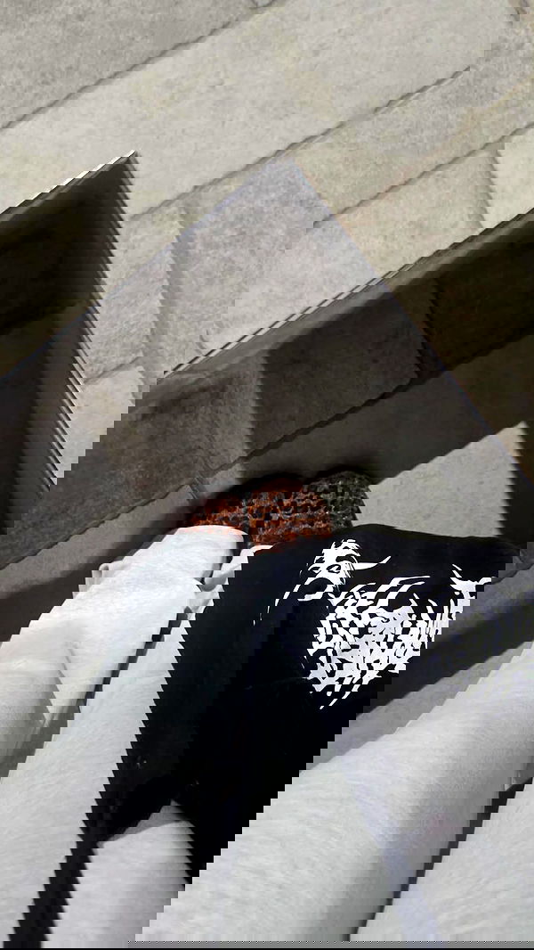 avital_1010.2003 image ~ Altpins