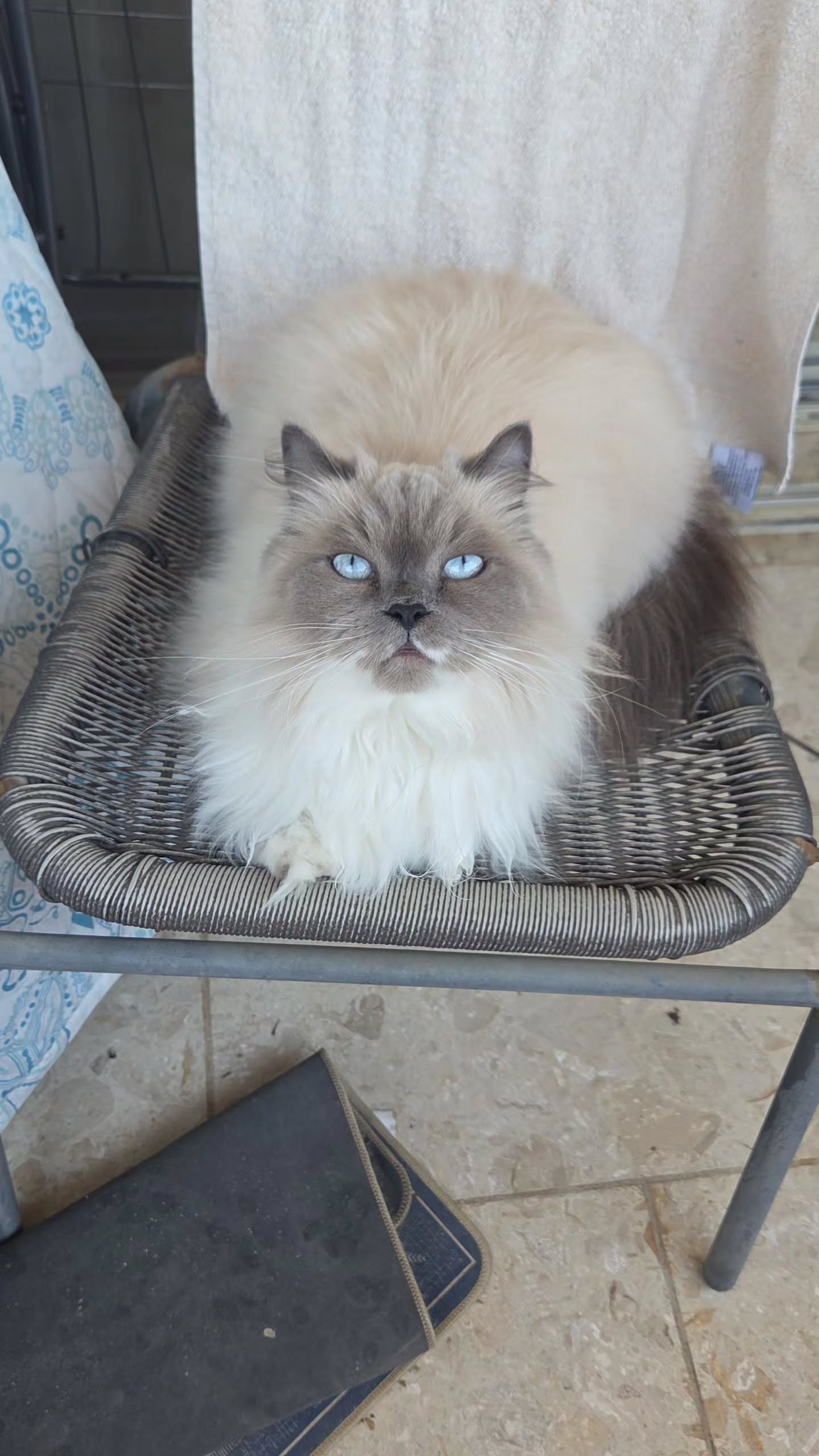 avital_1010.2003 instagram image archive image