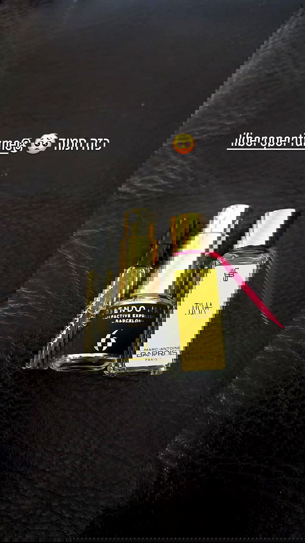 avital_1010.2003 image ~ Altpins