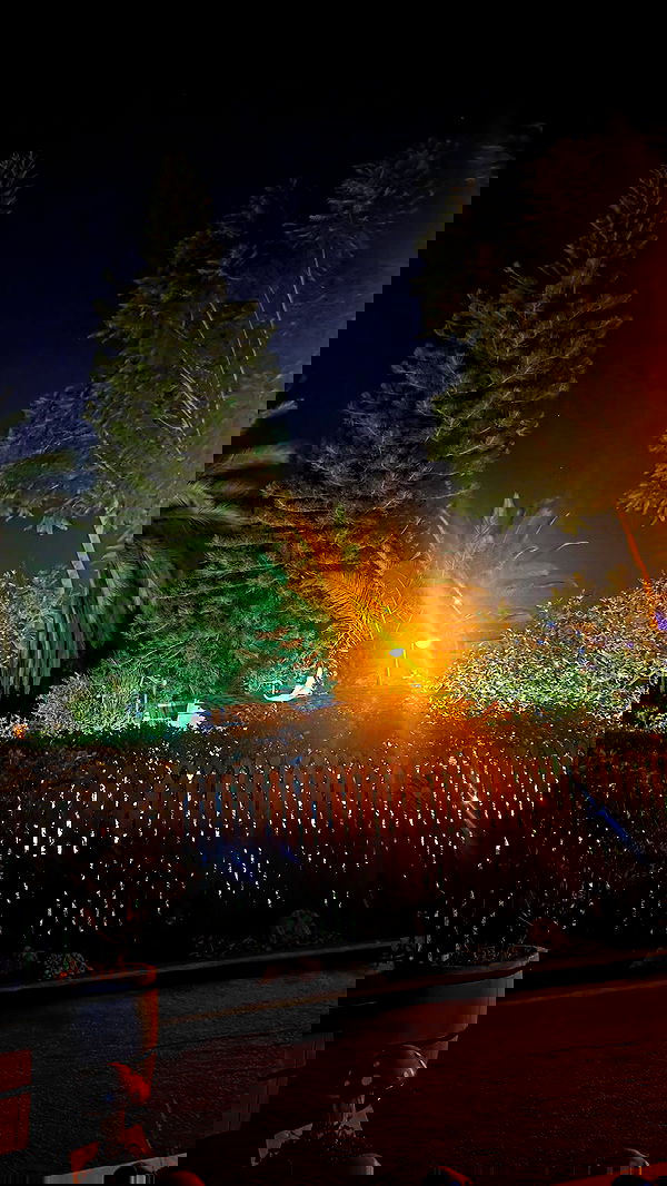 avital_1010.2003 image ~ Altpins