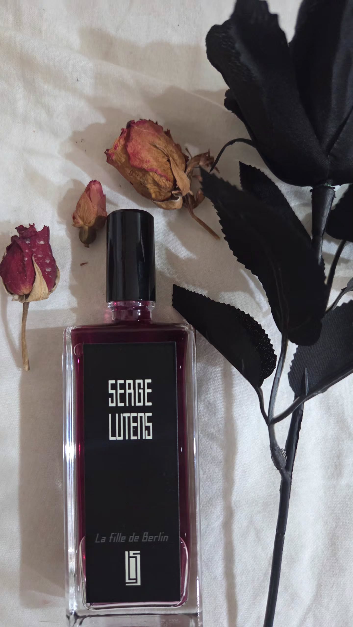 avital_1010.2003 instagram image archive image