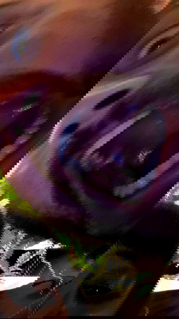 avital_1010.2003 image ~ Altpins