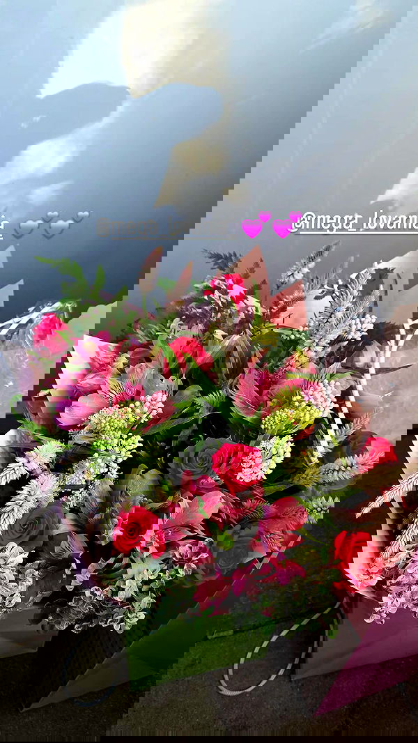 avital_1010.2003 image ~ Altpins