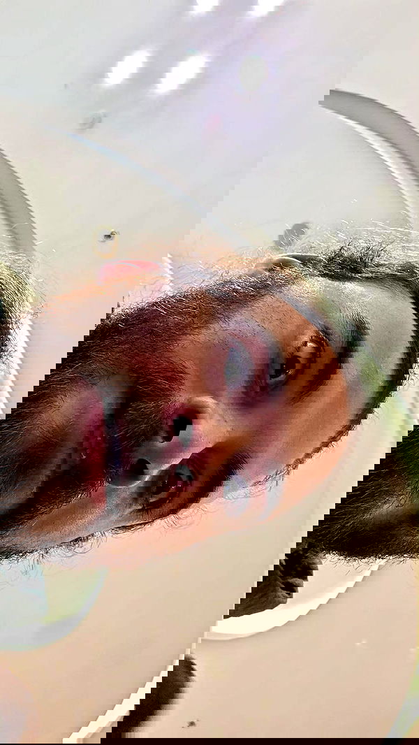 avital_1010.2003 image ~ Altpins