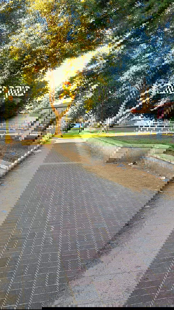 avital_1010.2003 image ~ Altpins